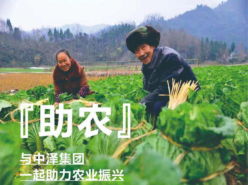 爱心助农，中泽在行动
