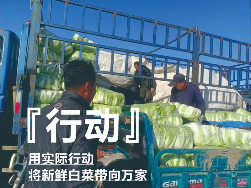 爱心助农，中泽在行动