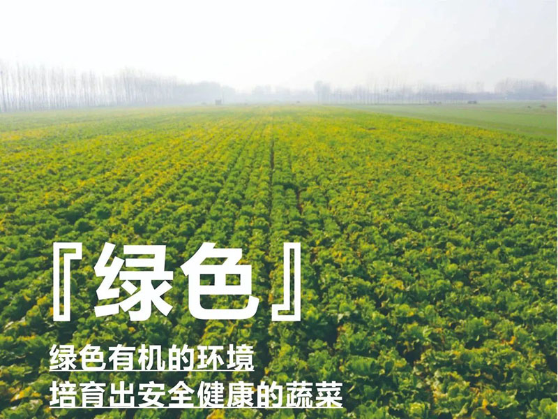 爱心助农，中泽在行动